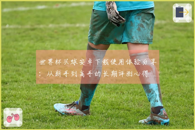 世界杯买球安卓下载使用体验分享：从新手到高手的长期评测心得