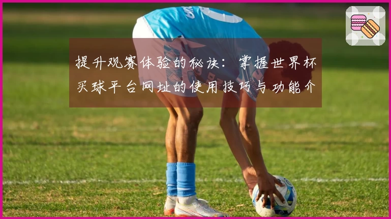 提升观赛体验的秘诀:掌握世界杯买球平台网址的使用技巧与功能介绍