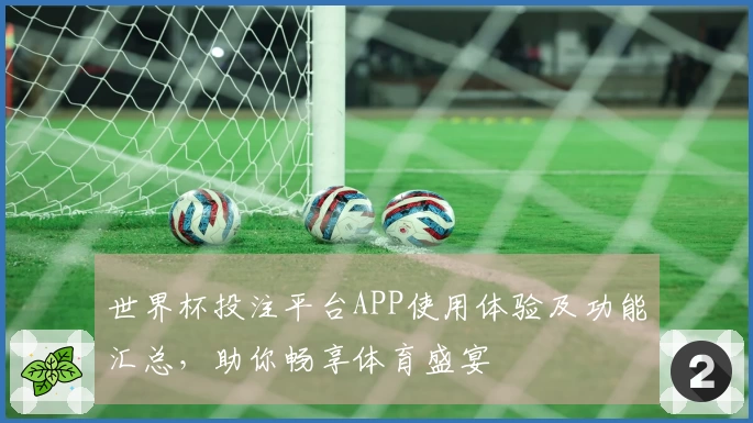世界杯投注平台APP使用体验及功能汇总，助你畅享体育盛宴