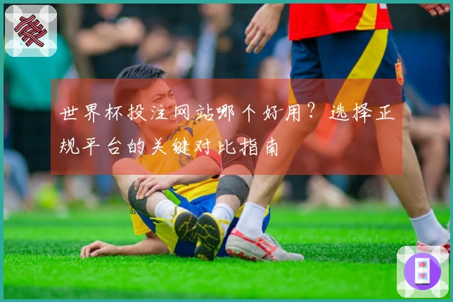 世界杯投注网站哪个好用？选择正规平台的关键对比指南