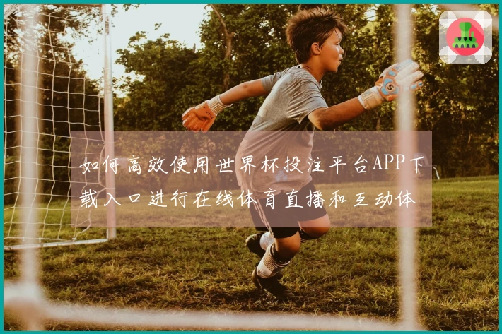 如何高效使用世界杯投注平台APP下载入口进行在线体育直播和互动体验
