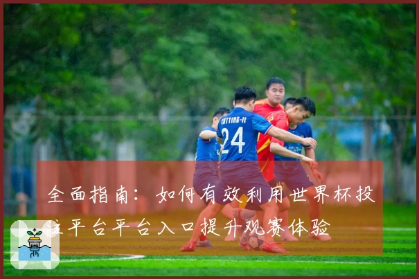 全面指南：如何有效利用世界杯投注平台平台入口提升观赛体验
