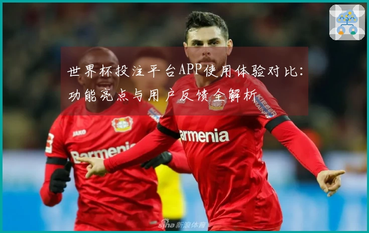 世界杯投注平台APP使用体验对比:功能亮点与用户反馈全解析