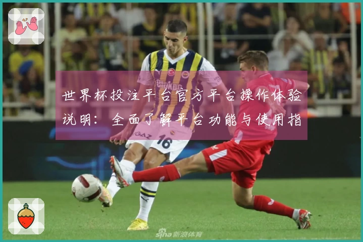 世界杯投注平台官方平台操作体验说明：全面了解平台功能与使用指南