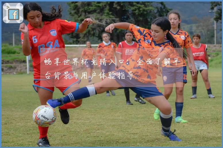 畅享世界杯竞猜入口:全面了解平台背景与用户体验指导