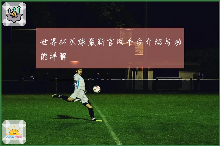 世界杯买球最新官网平台介绍与功能详解
