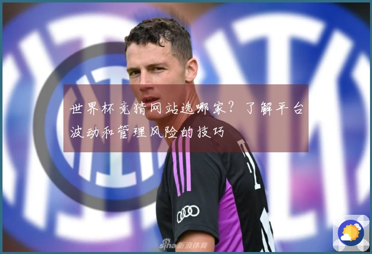 世界杯竞猜网站选哪家?了解平台波动和管理风险的技巧