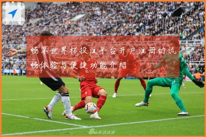 畅享世界杯投注平台开户注册的流畅体验与便捷功能介绍
