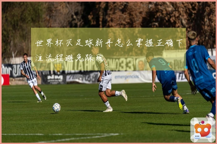 世界杯买足球新手怎么掌握正确下注流程避免踩坑