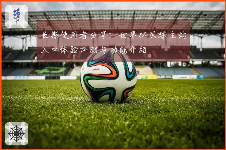 长期使用者分享：世界杯买球主站入口体验评测与功能介绍