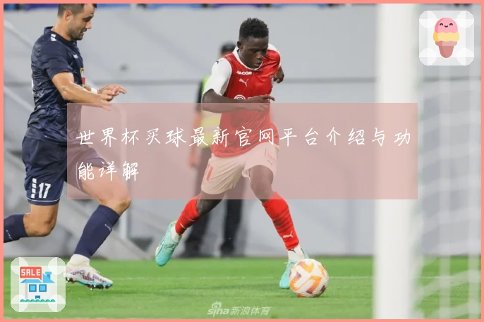 世界杯买球最新官网平台介绍与功能详解