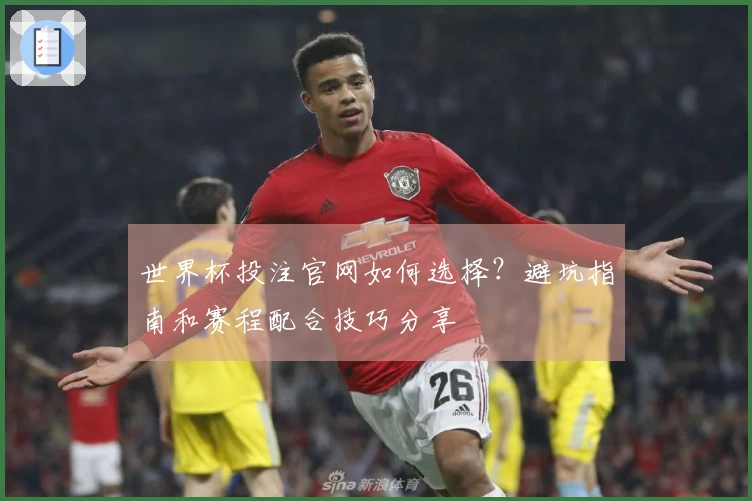 世界杯投注官网如何选择?避坑指南和赛程配合技巧分享