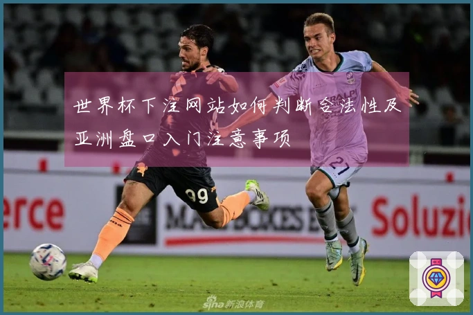 世界杯下注网站如何判断合法性及亚洲盘口入门注意事项