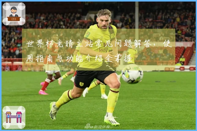 世界杯竞猜主站常见问题解答，使用指南与功能介绍全掌握