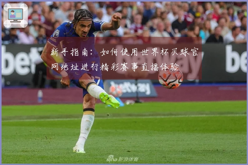 新手指南：如何使用世界杯买球官网地址进行精彩赛事直播体验