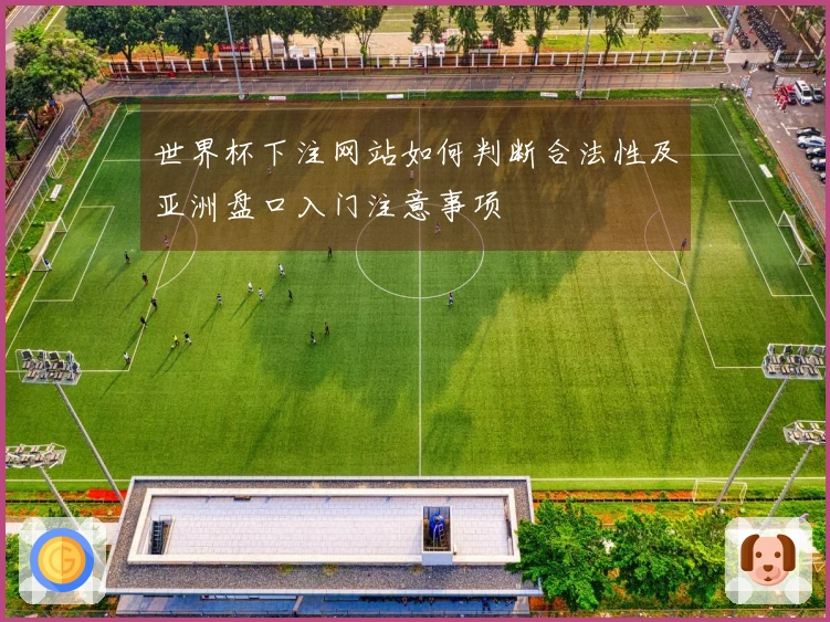 世界杯下注网站如何判断合法性及亚洲盘口入门注意事项